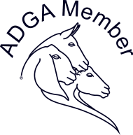 adga-logo